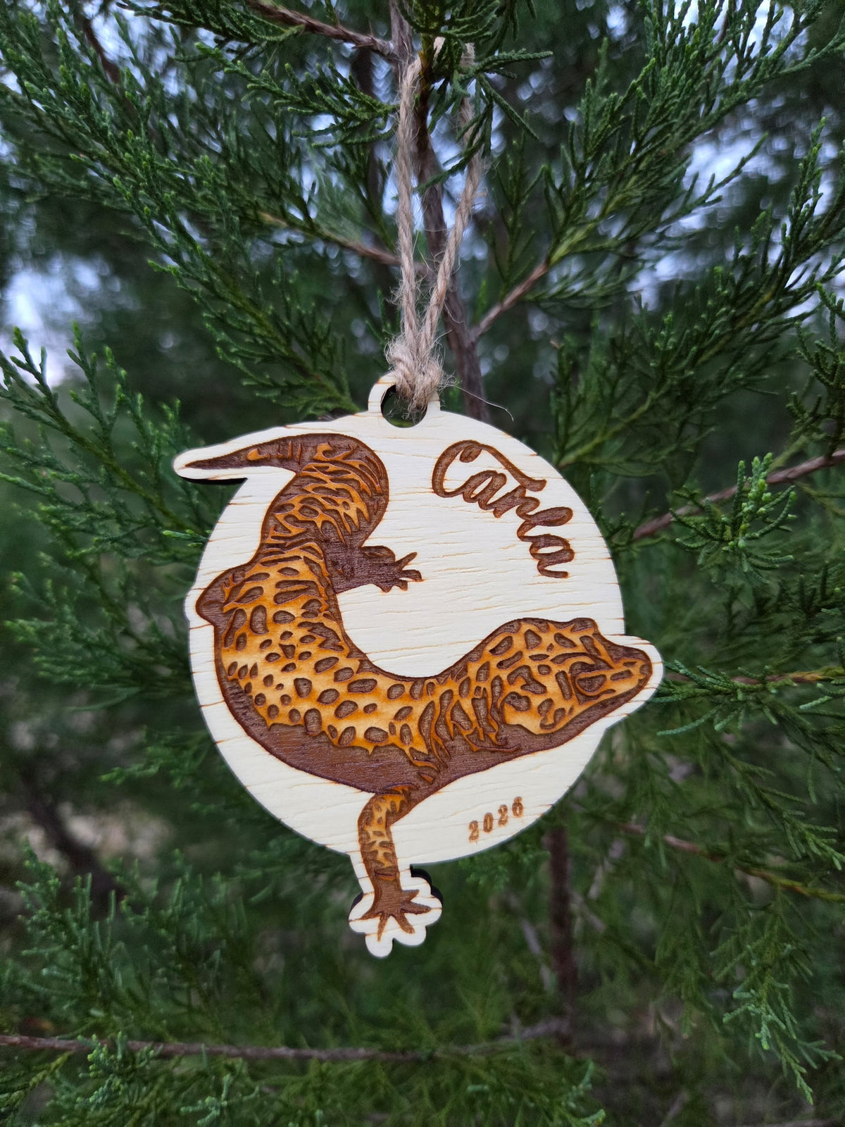 Leopard gecko ornament hanging by its twine loop on an evergreen branch