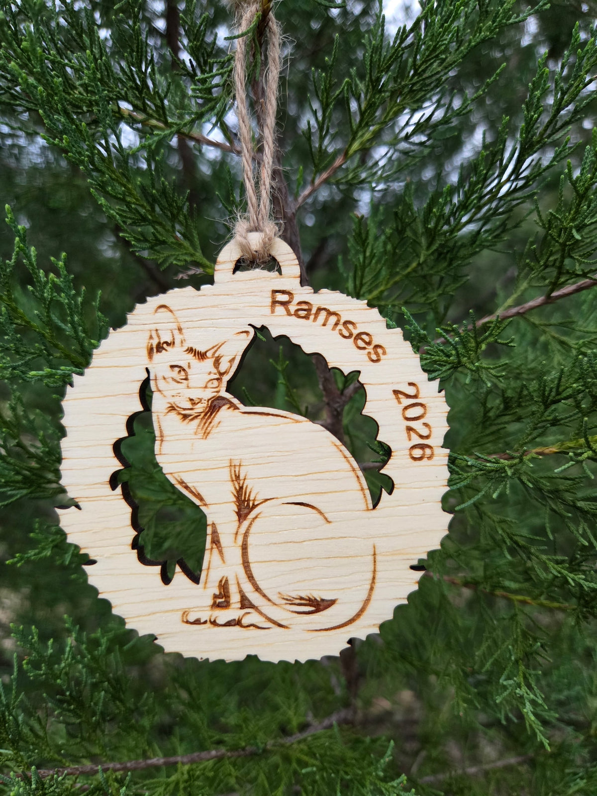 Sphynx cat wreath ornament hanging by its twine loop on an evergreen branch
