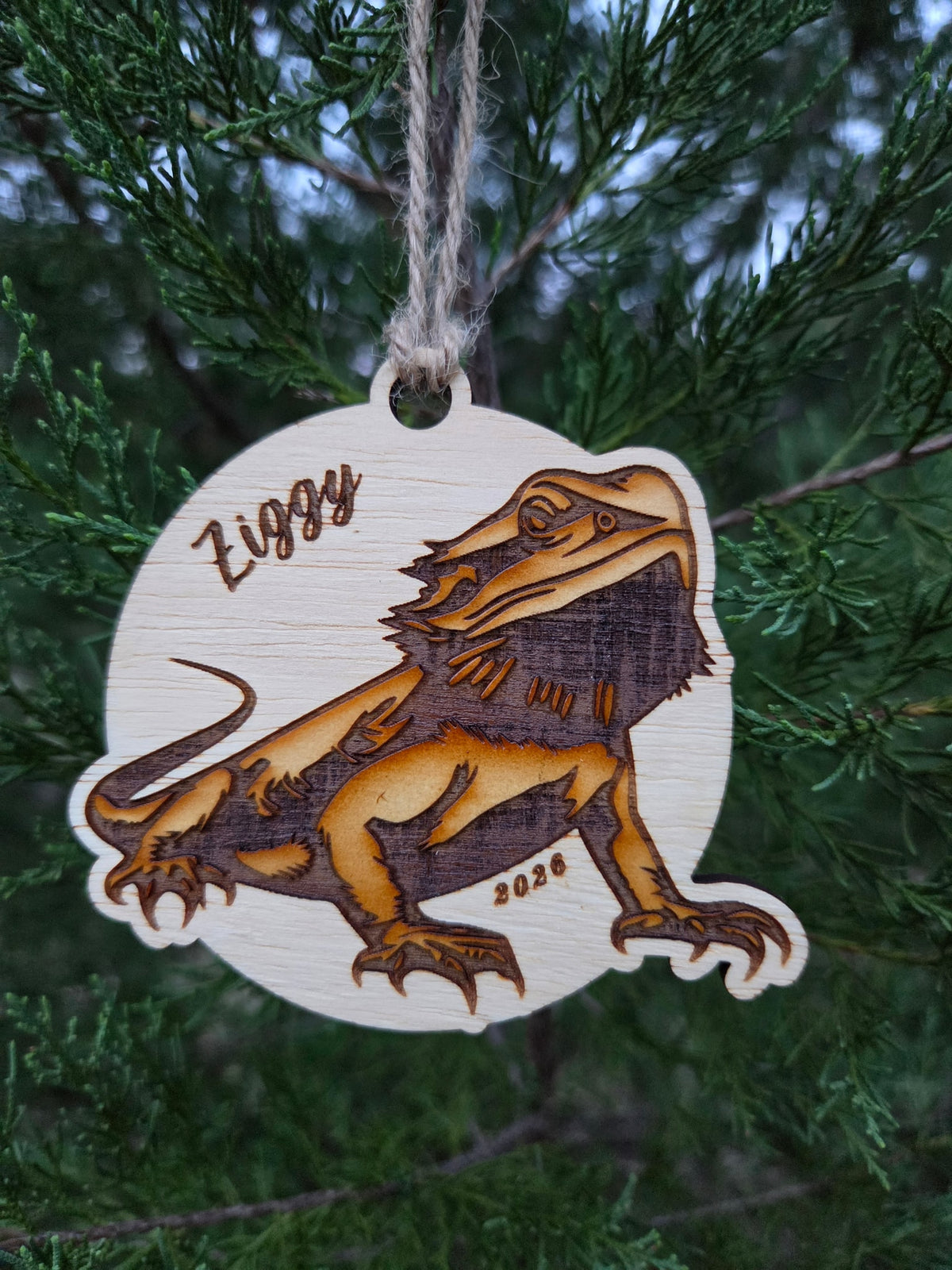 Bearded dragon ornament hanging by its twine loop on an evergreen branch