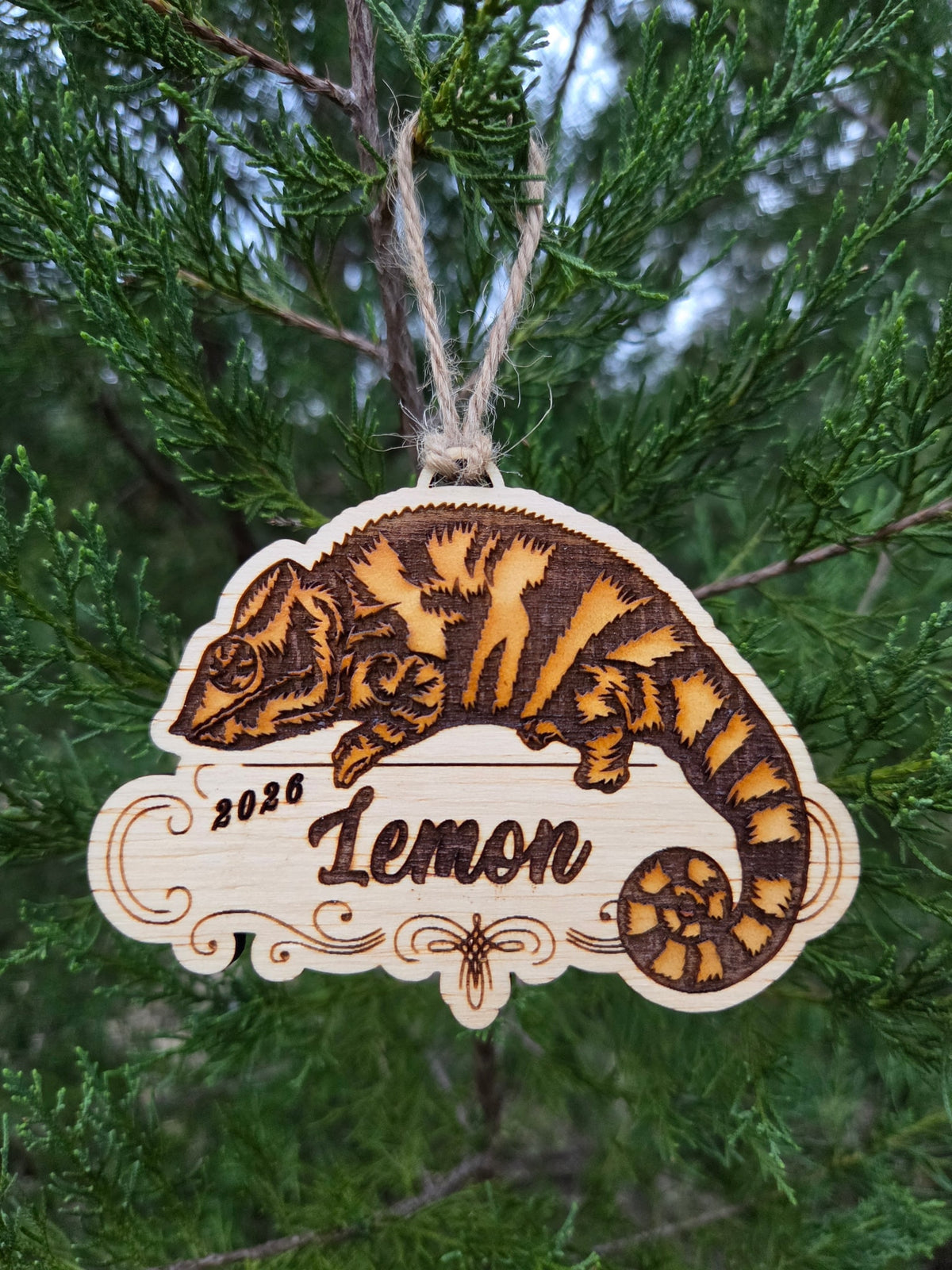 Painted chameleon plaque ornament hanging by its twine loop on an evergreen branch