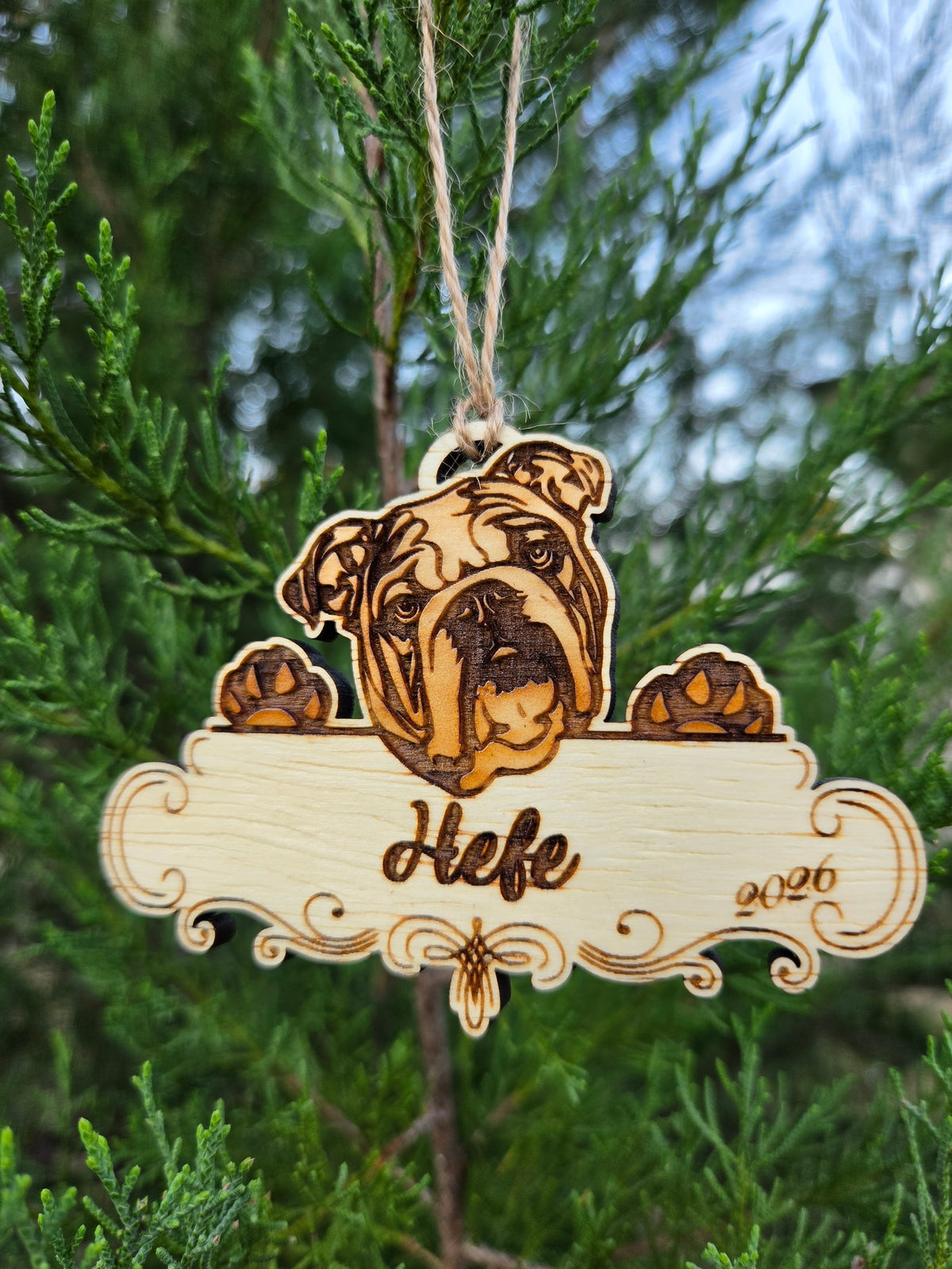 Wooden English bulldog ornament, head and paws over a plaque engraved Hefe and 2026, on an evergreen