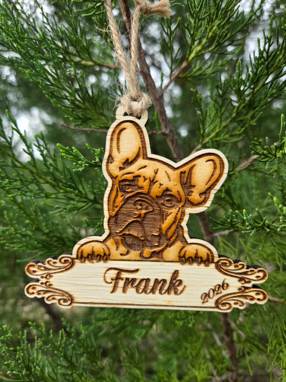 French Bulldog ornament hanging by its twine loop on an evergreen branch