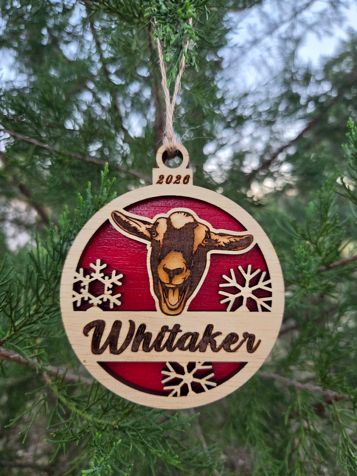 Goat face ornament with a red back, engraved Whitaker and 2026, hanging on an evergreen