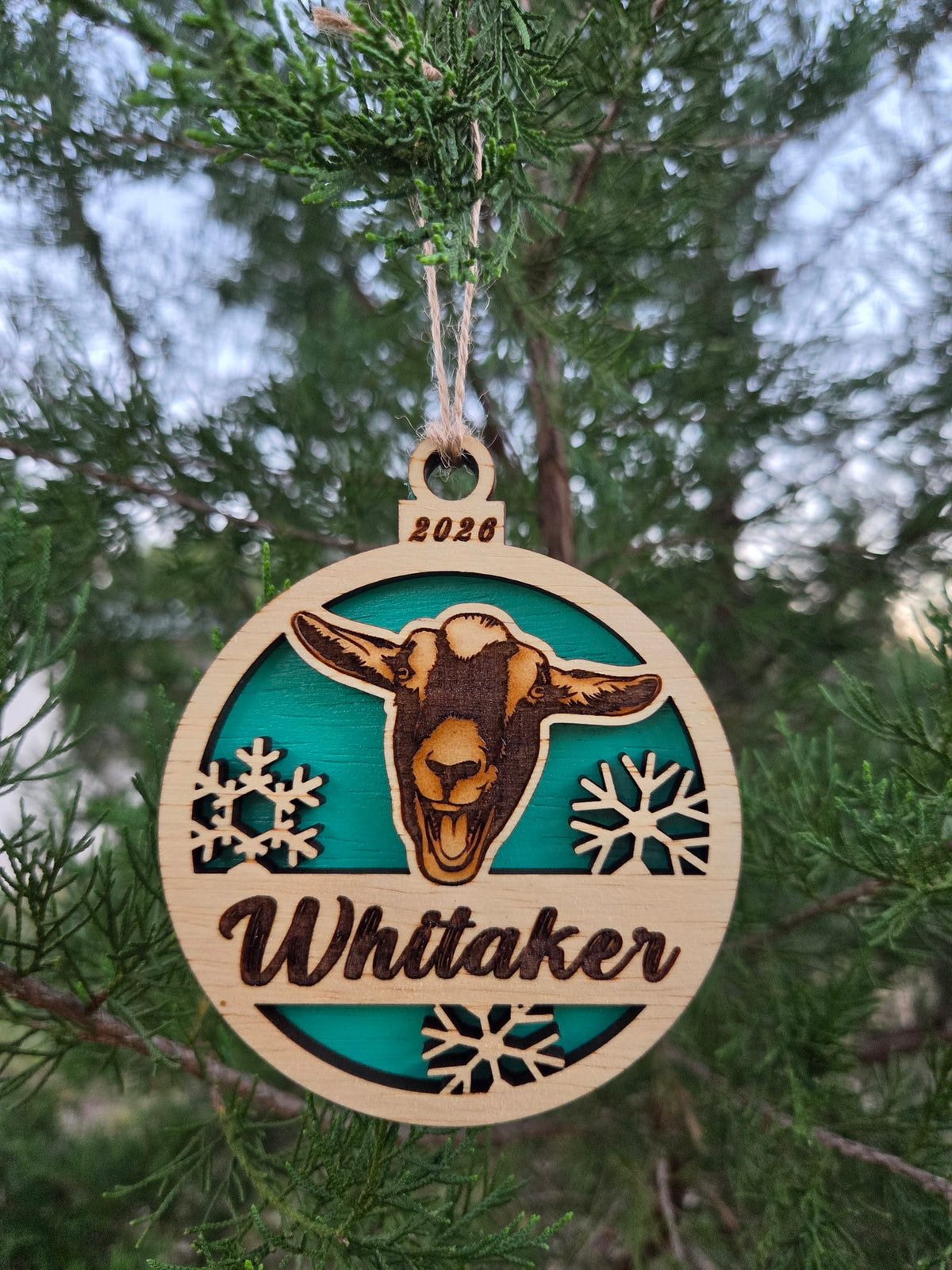 Goat face ornament with a teal back, engraved Whitaker and 2026, hanging on an evergreen
