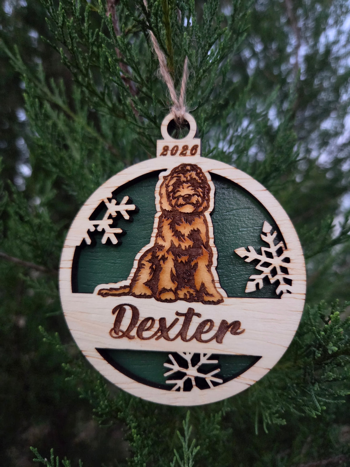 Sitting doodle dog ornament with a dark green back, engraved Dexter and 2026, hanging on an evergreen