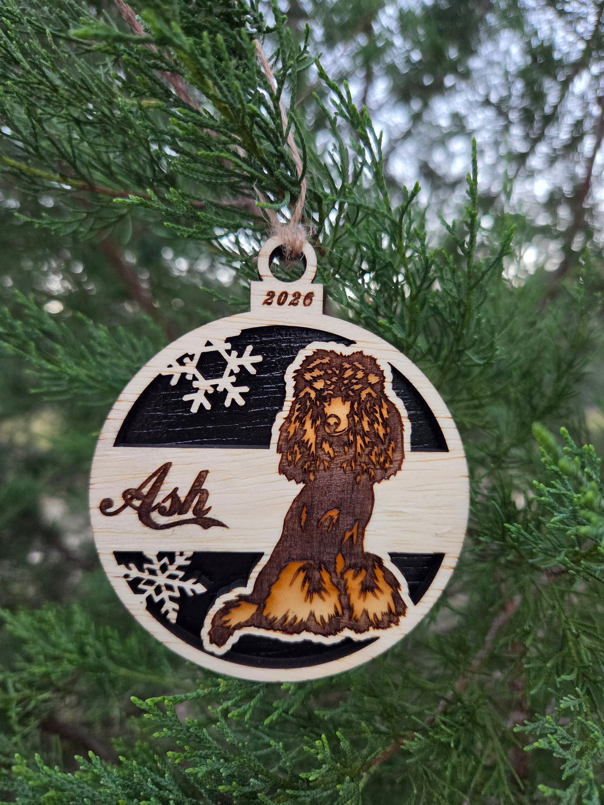 The sitting poodle ornament with a black back, engraved Ash and 2026, hanging on an evergreen