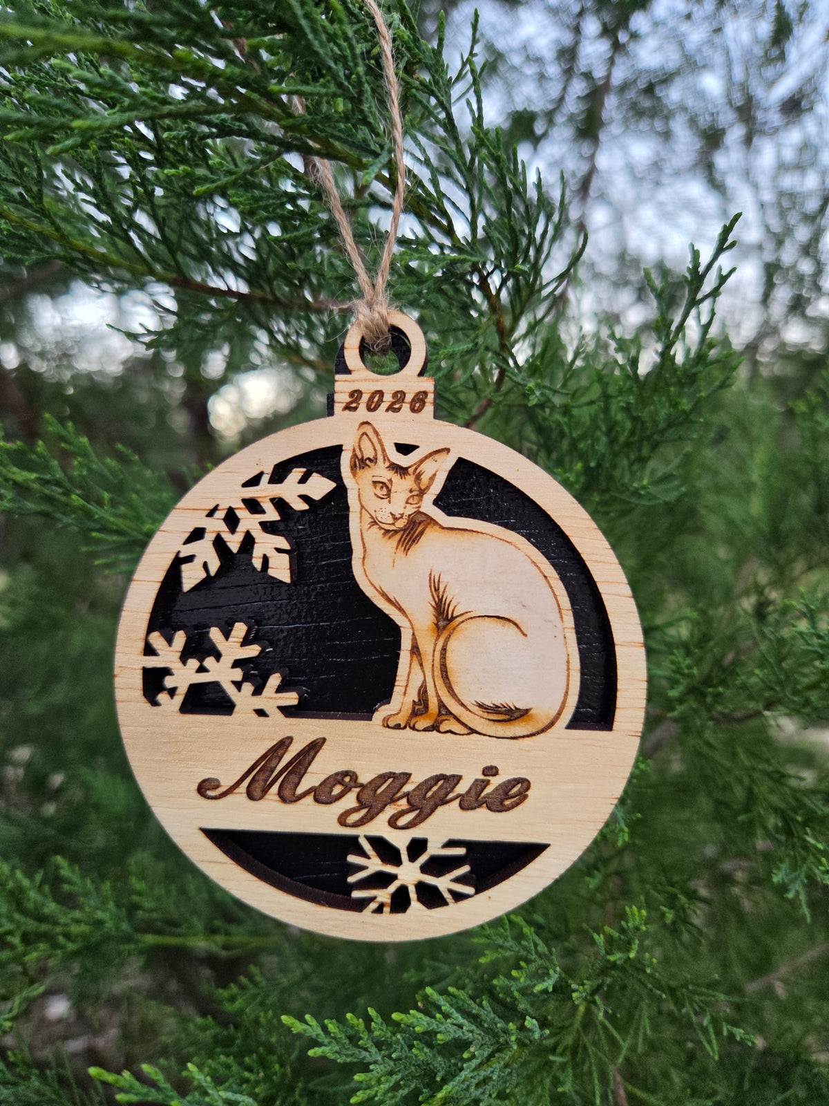 Sitting Sphynx cat ornament with a black back, engraved Moggie and 2026, hanging on an evergreen
