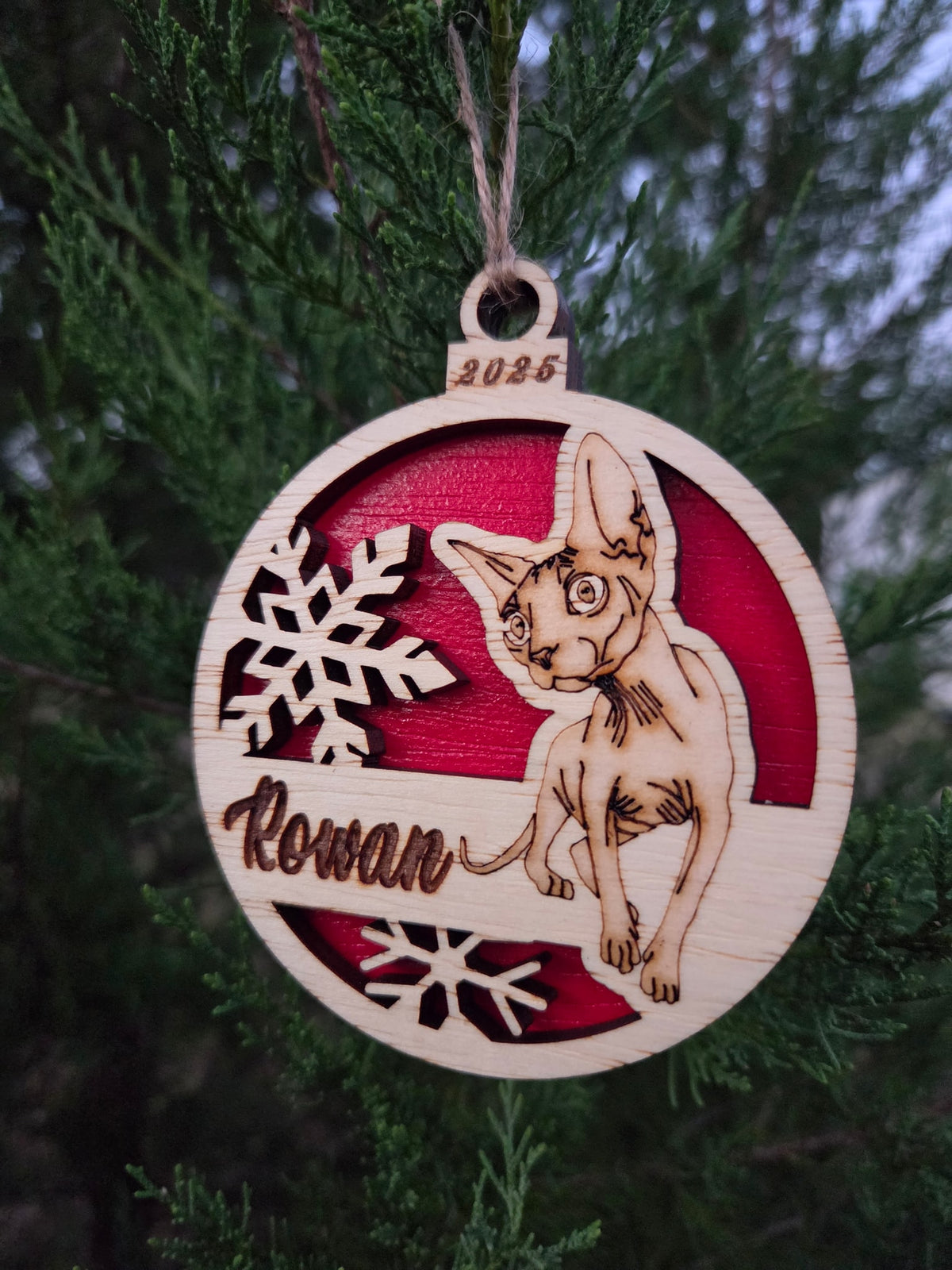 Sphynx cat and snowflakes ornament with a red back, engraved Rowan and 2025, hanging on an evergreen