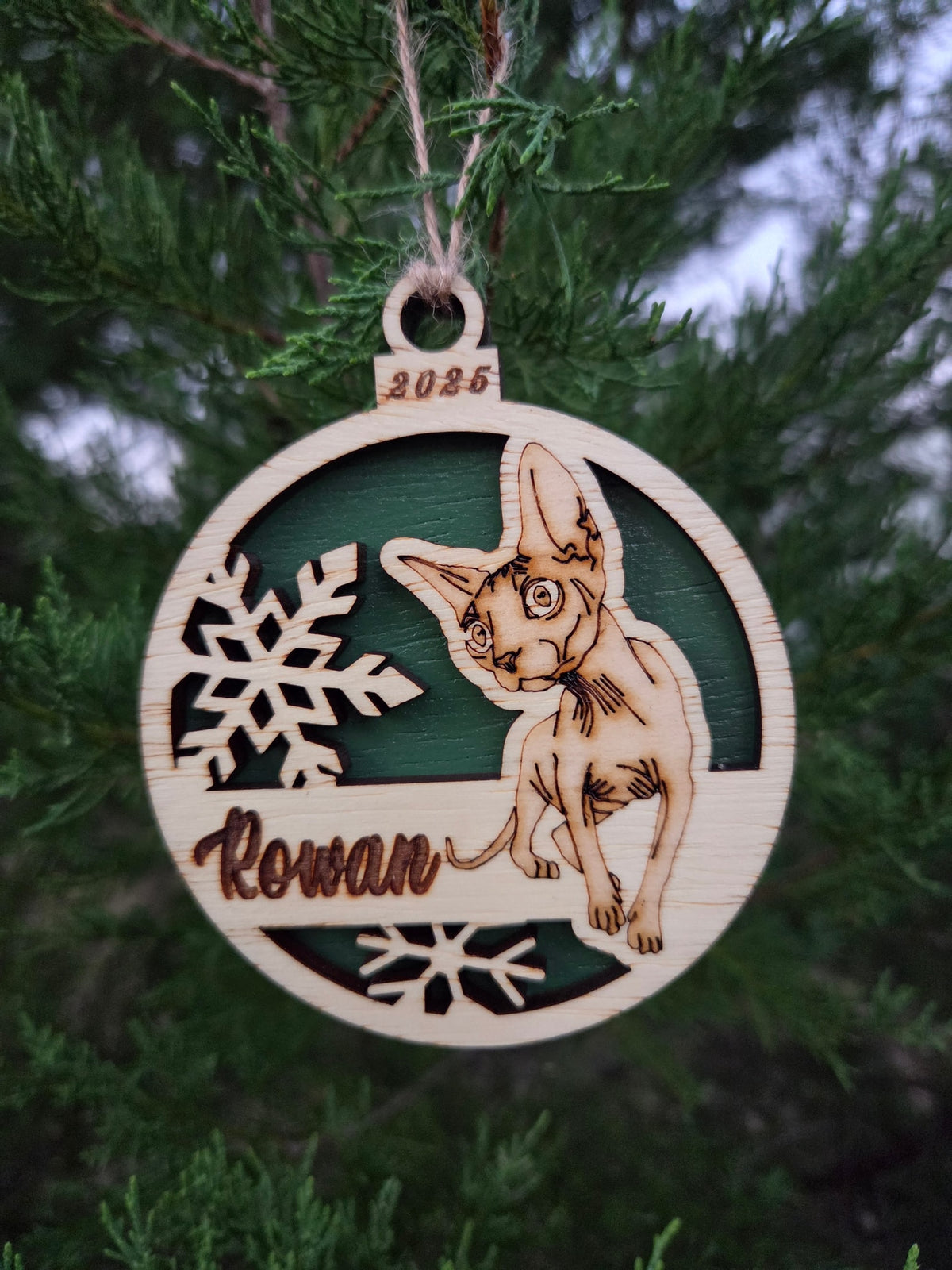 Sphynx cat and snowflakes ornament with a dark green back, engraved Rowan and 2025, hanging on an evergreen