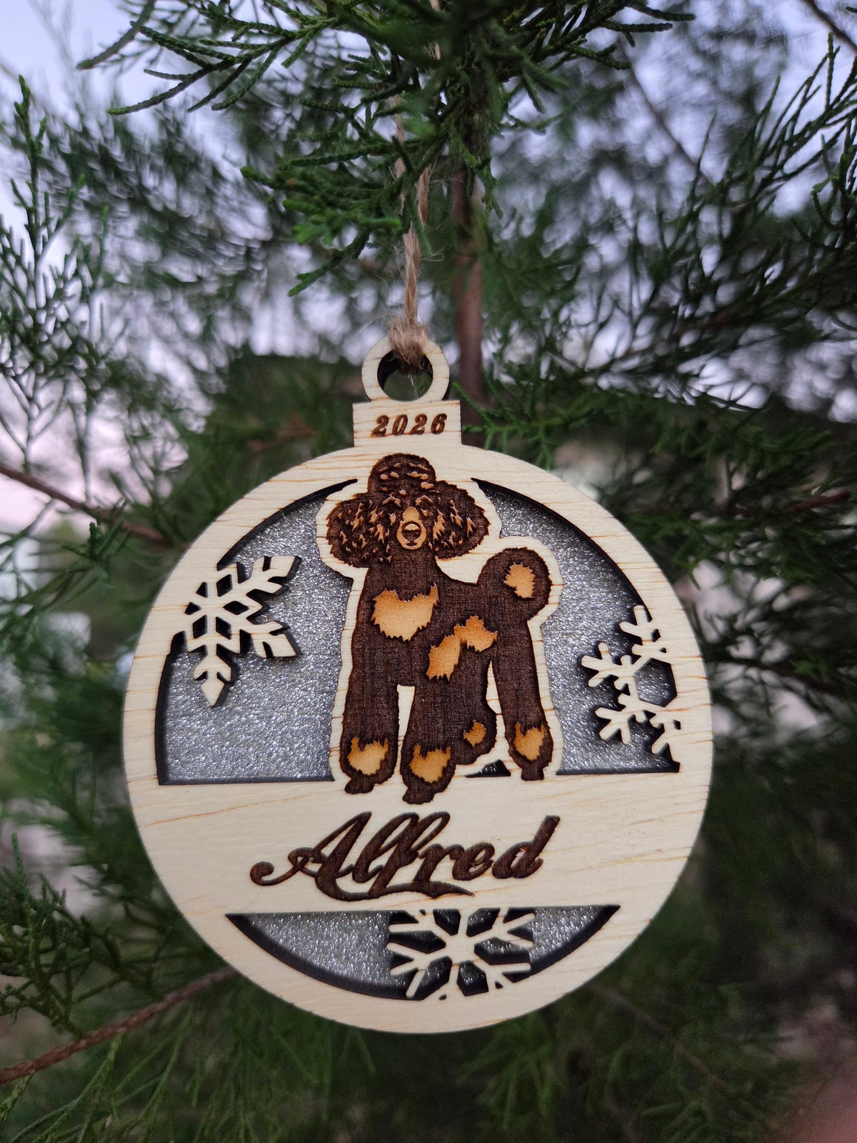 The standing poodle ornament with a silver glitter back, engraved Alfred, hanging on an evergreen