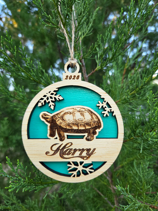 Tortoise and snowflakes ornament with a teal back, engraved Harry and 2026, hanging on an evergreen