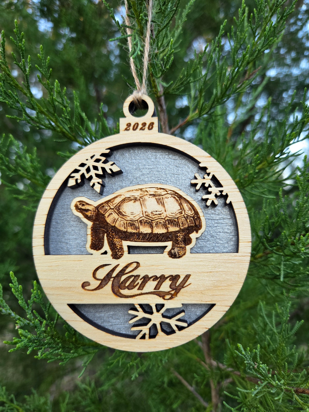 Tortoise and snowflakes ornament with a gray back, engraved Harry and 2026, hanging on an evergreen