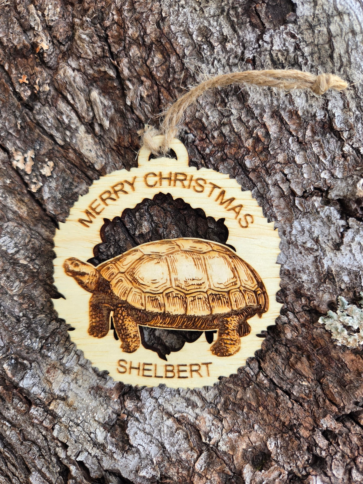 Wooden tortoise in a wreath ornament engraved Merry Christmas, with a sample name along the curve below, on tree bark