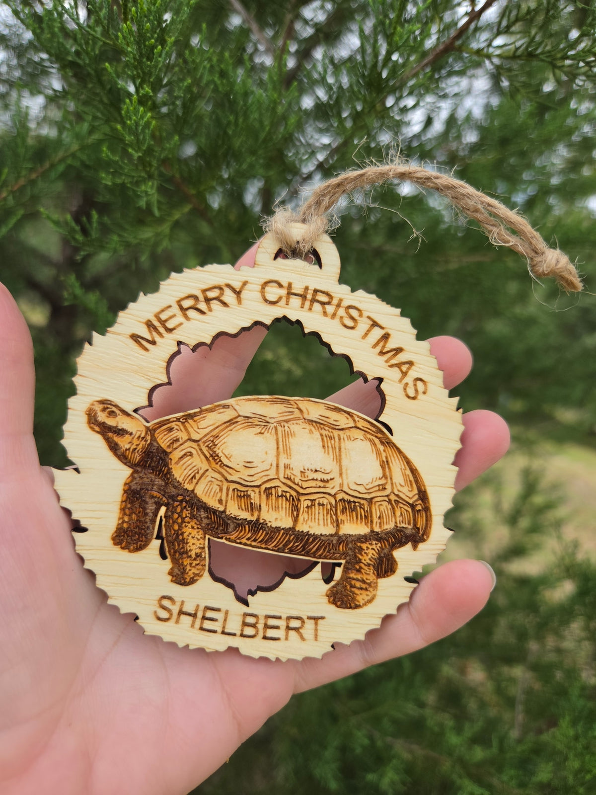Tortoise in a wreath ornament held in an open hand to show its size