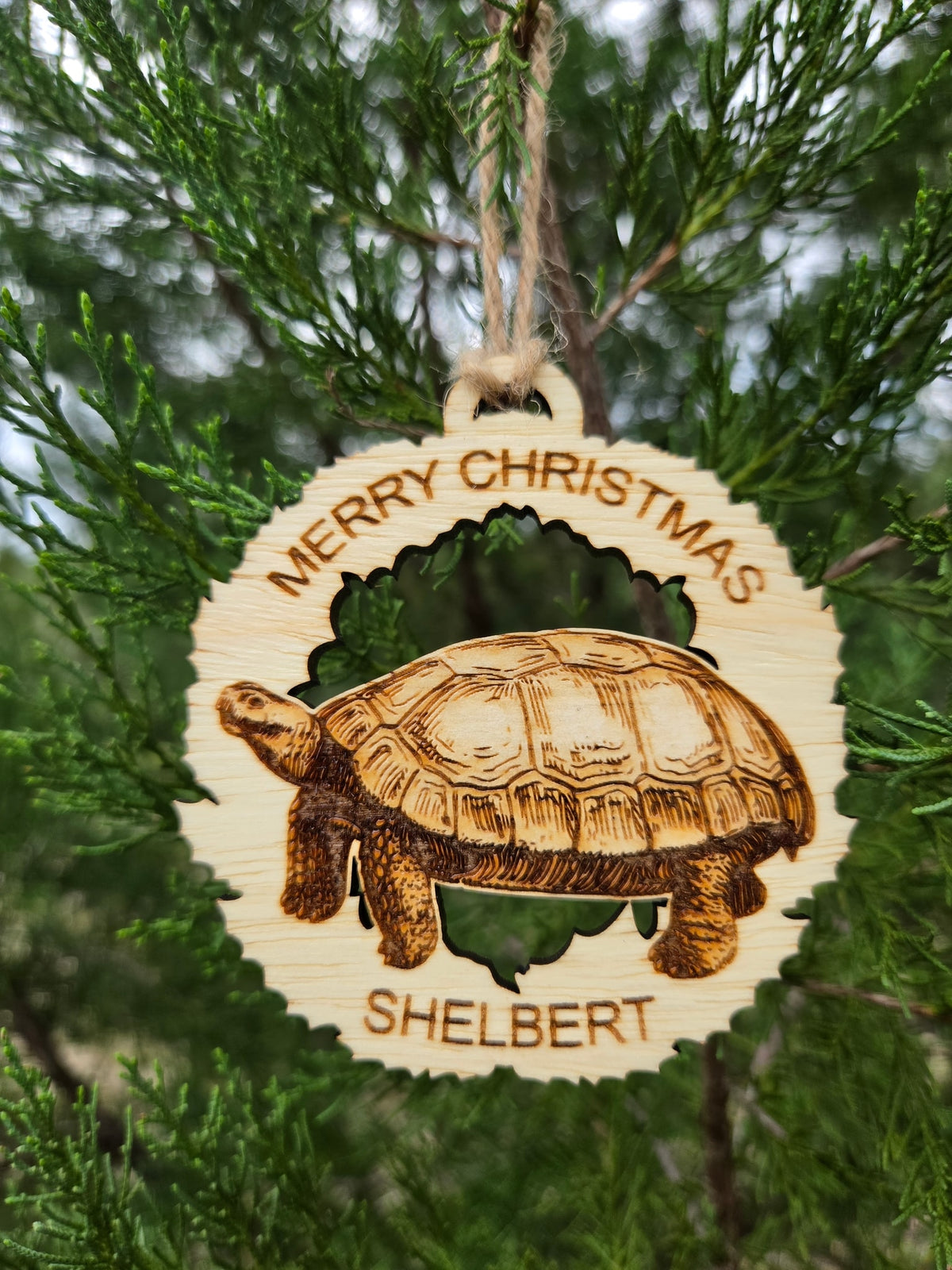 Tortoise in a wreath ornament hanging by its twine loop on an evergreen branch