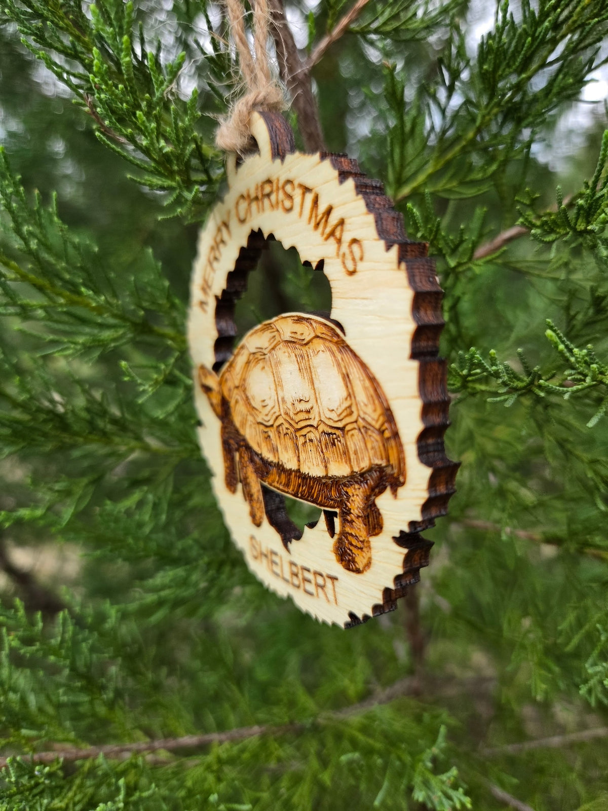Side view of the tortoise wreath ornament showing the thickness of the wood and its dark cut edge