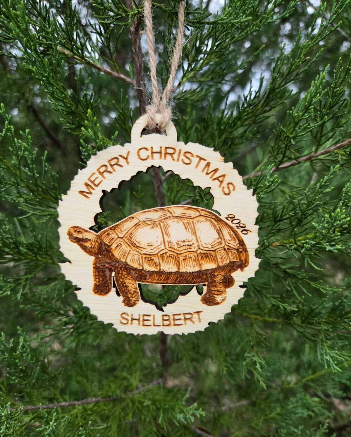 Tortoise wreath ornament with a sample name and the year beside the shell, hanging on an evergreen branch